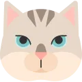 Cat Food